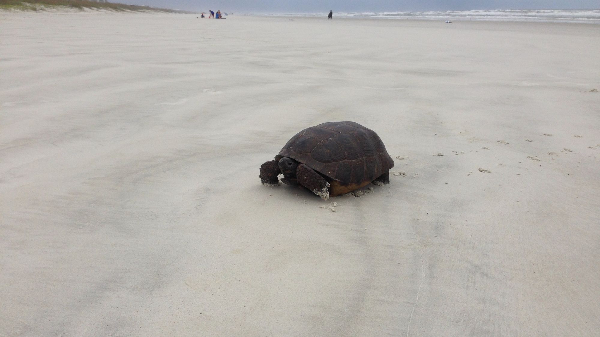 The Silver Sands St. Augustine — photo 13 of 15